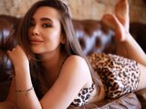 AdaStones videos